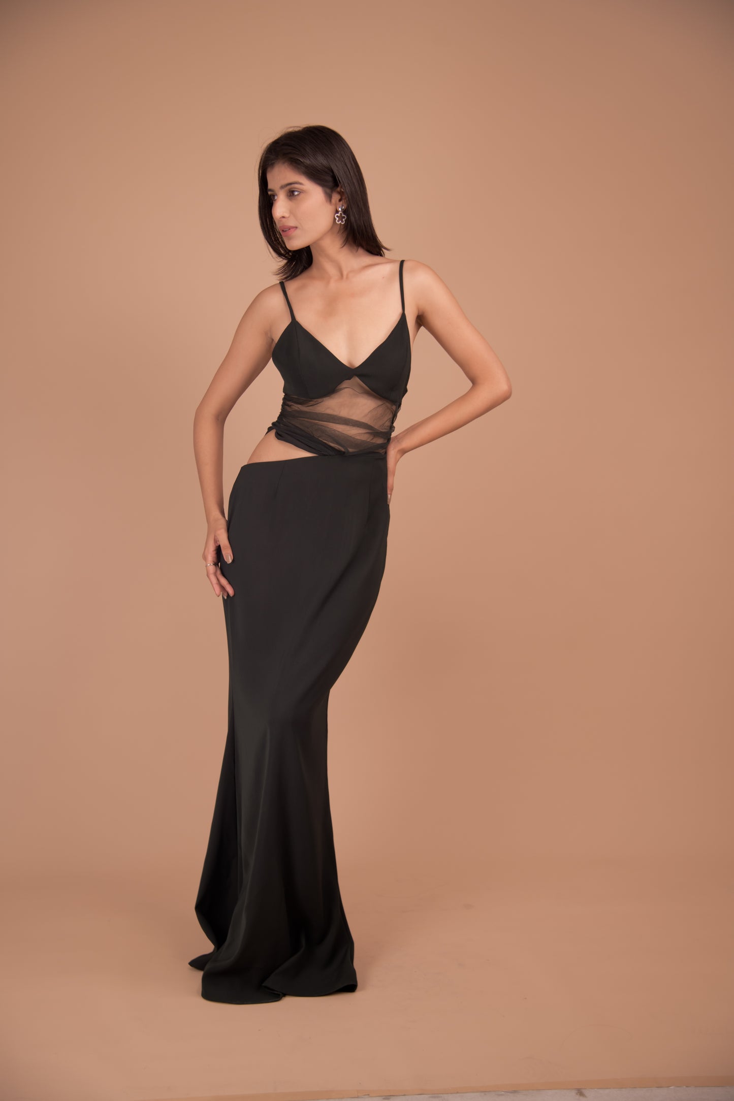 Midnight Whisper – Sheer-Panel Evening Gown